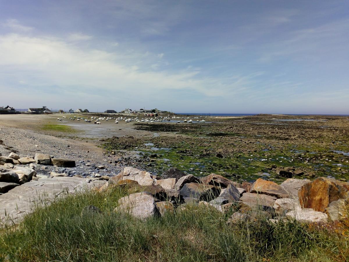 Grand Hotel De Port Blanc Penvénan Eksteriør billede